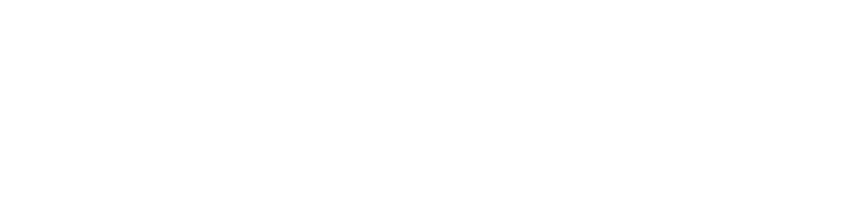 Ro Auto